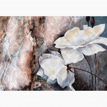 Fototapeta - FT7371 - Biele abstraktné kvety s textúrou