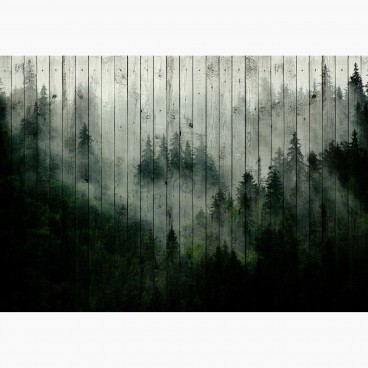 Fototapeta - FT7395 - Mlžný les na doskách
