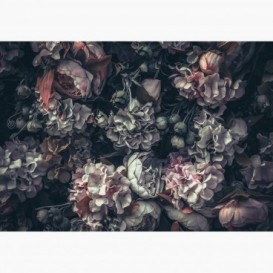 Fototapeta - FT7412 - Vintage kvety