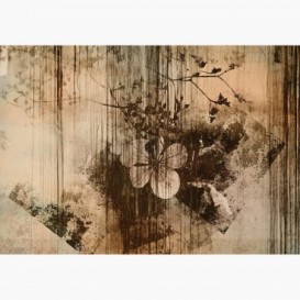 Fototapeta - FT7484 - Abstrakce hnědé květy