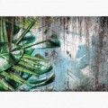 Fototapeta - FT7494 - Zelene listy kvetov na schátralej stene