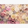 Fototapeta - FT7572 - Farebné vintage kvety