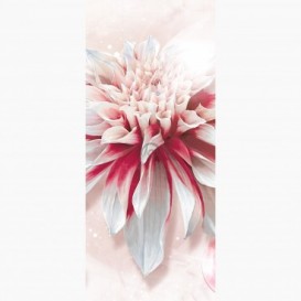 Fototapeta - DV1049 - Bílo-růžový květ
