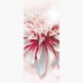 Fototapeta - DV1049 - Bílo-růžový květ
