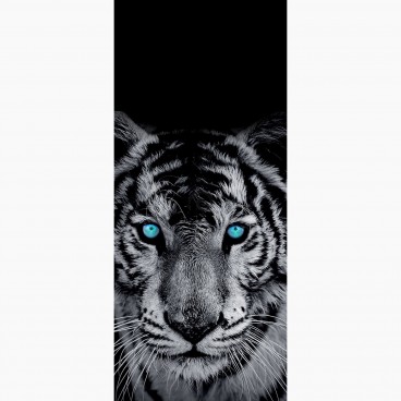 Fototapeta - DV1064 - Čierno-biely tiger